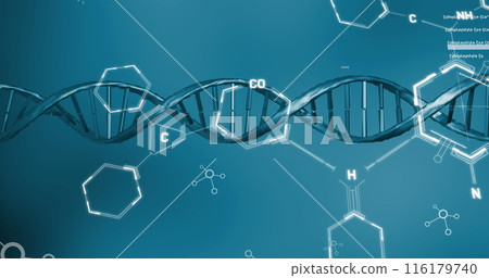 Image of dna, molecular and chemical structures against blue background Image of dna, molecular and chemical structures against blue background 116179740