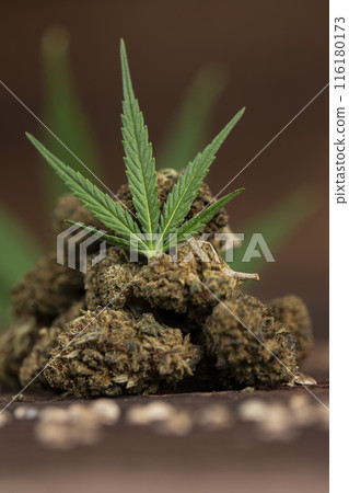 Cannabis and marijuana buds, weed cbd 116180173