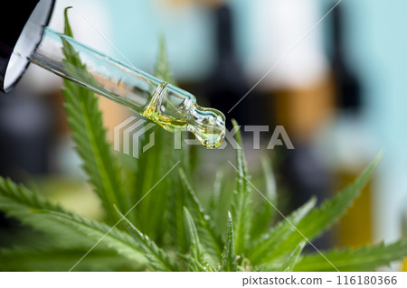 Oil cbd in a glass bottle, with a pipette, Medical marijuana concept 116180366