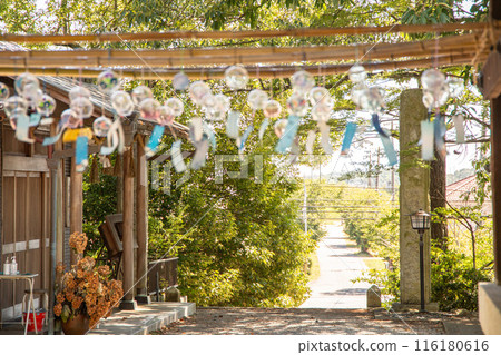 神社的風鈴與夏日小徑 神社的風鈴與夏日小徑 116180616