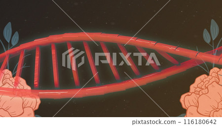 Image of dna over roses on black background Image of dna over roses on black background 116180642