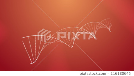 White lines forming DNA helix pattern floating on a red background 116180645