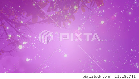 Image of light spots over biracial couple embracing Image of light spots over biracial couple embracing 116180711