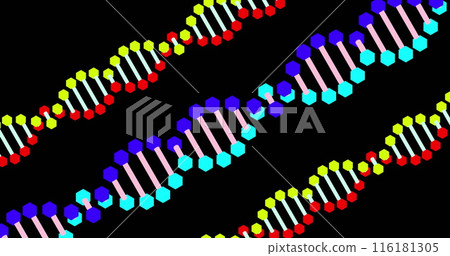 Image of confetti falling and three dna strands moving on black background Image of confetti falling and three dna strands moving on black background 116181305