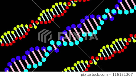 Image of confetti falling and three dna strands moving on black background Image of confetti falling and three dna strands moving on black background 116181307