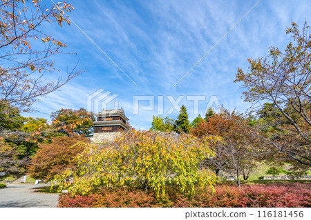 Ueda Castle Ruins Park, West Tower, Autumn Leaves, An impregnable castle that was attacked twice by the Tokugawa army but never fell Ueda Castle Ruins Park, West Tower, Autumn Leaves, An impregnable castle that was attacked twice by the Tokugawa army but never fell 116181456