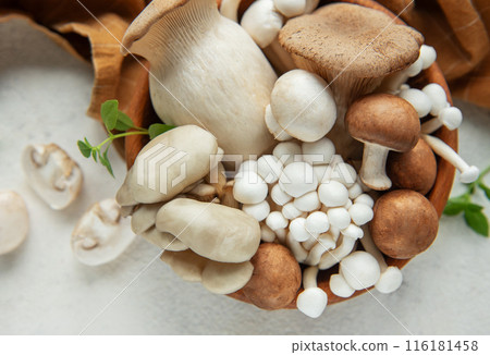 Assortment of various mushrooms Assortment of various mushrooms 116181458