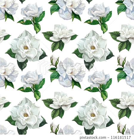 Seamless pattern of white gardenia flowers with leaves on white background 116181517