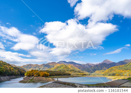 Sasagamine Dam Otomi Lake 116181544