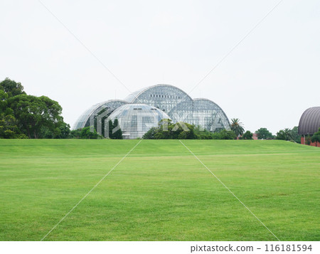 從夢之島公園看到的玻璃穹頂 116181594