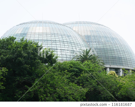 Glass Dome | Yumenoshima Tropical Botanical Garden Glass Dome | Yumenoshima Tropical Botanical Garden 116181687