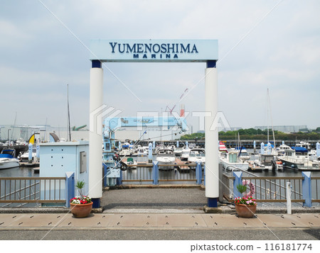 Dream Island Marina Dream Island Marina 116181774