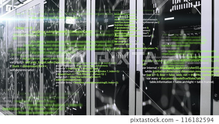 Image of computer languages and illuminated connected dots moving on data server systems 116182594