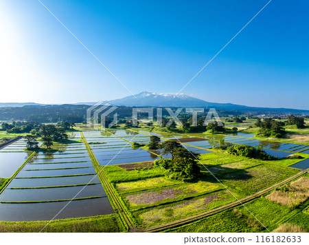 清晨的鳥海山和九十九島（秋田縣仁賀保市） 116182633