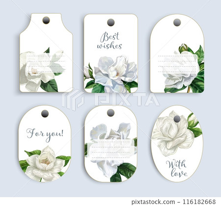 Vector wedding or birthday gift tag set with white gardenias flat style Vector wedding or birthday gift tag set with white gardenias flat style 116182668