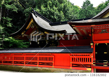 六所神社正殿 六所神社正殿 116182802