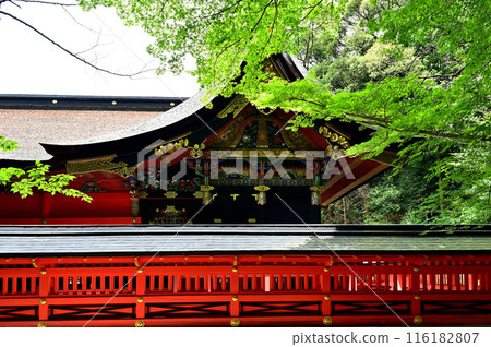 六所神社正殿 六所神社正殿 116182807