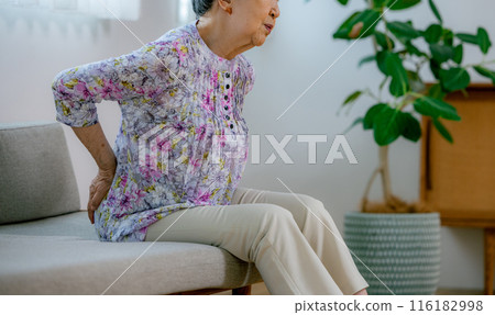 有腰下部痛的資深婦女 116182998