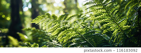 AI-generated item. Green fern leaves in sunny forest, closeup. Nature background. 116183092