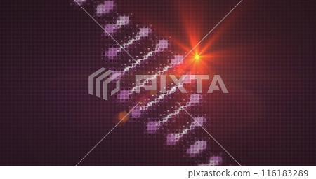 Image of light spots and dna strand over black background 116183289