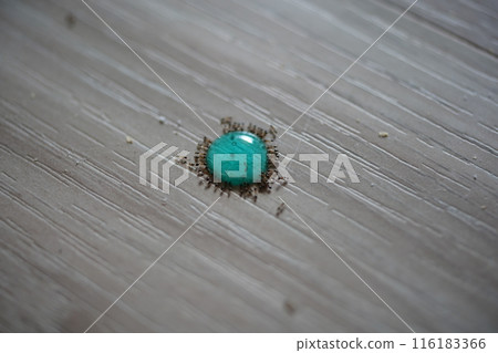 ant poison 116183366