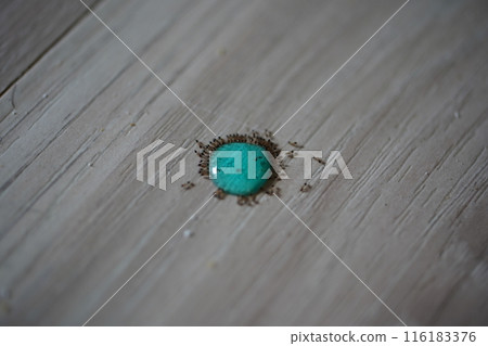 ant poison 116183376