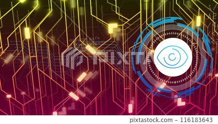 Image of eye icon and shapes over data processing Image of eye icon and shapes over data processing 116183643