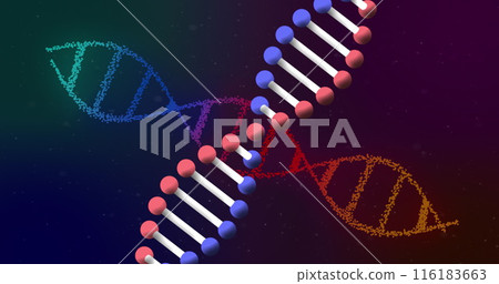 Image of dna strands on black background 116183663