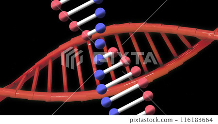 Image of dna strands on black background 116183664