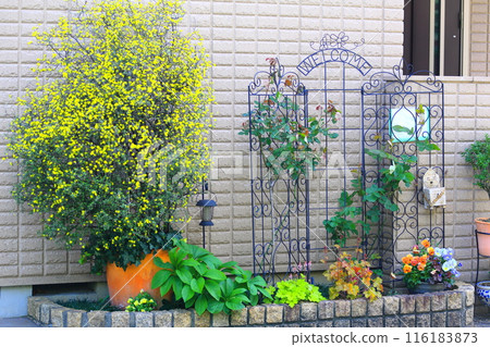 種植 種植 116183873