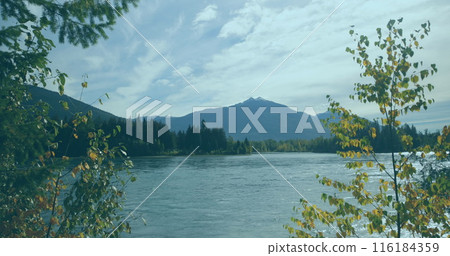 Trees surrounding calm river, with a mountain looming in distance Trees surrounding calm river, with a mountain looming in distance 116184359