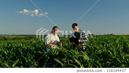 Two farmers from different generations collaborating in a cornfield, using a laptop. Concept of learning and knowledge transfer 116184437
