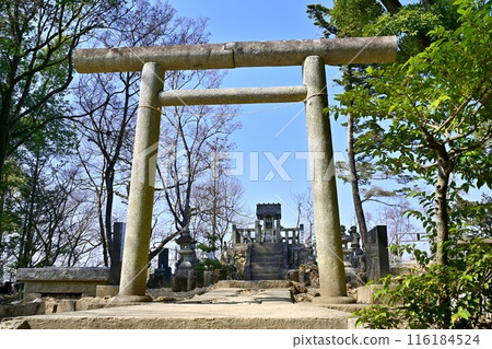 Stone steps to the torii gate at the summit shrine of Ryogaiyama, the ruins of Ashikaga Castle in Ashikaga City 116184524