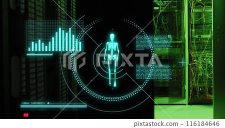 Image of data processing and skeleton walking over server room Image of data processing and skeleton walking over server room 116184646