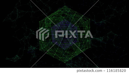 Green lines forming complex geometric shape are floating in digital space Green lines forming complex geometric shape are floating in digital space 116185820