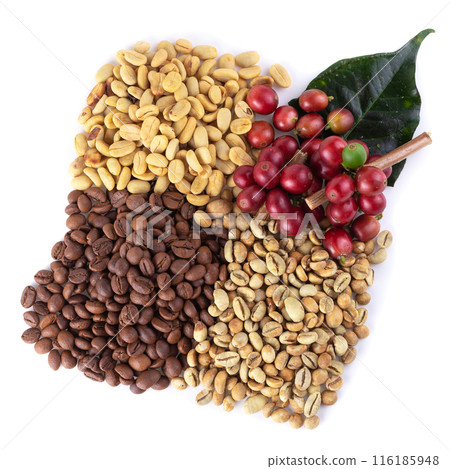 Fresh Coffee Red Berry branch ,Coffee beans and Roasted coffee beans isolated on white background 116185948