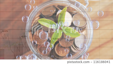 Young plant growing from coins in glass jar, financial growth concept 116186041