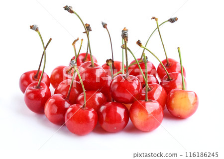 Cherry (Sato Nishiki) Cherry (Sato Nishiki) 116186245