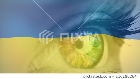 Caucasian college student with green eyes, wearing light makeup Caucasian college student with green eyes, wearing light makeup 116186264