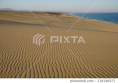 Wind patterns on the west side of the Tottori Sand Dunes Umanose with the blue sky and the Sanin mountain range in the background Ver3 116186371