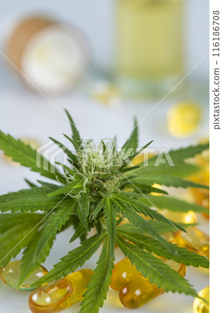 Marijuana oil, leaf and capsules on a white background Marijuana oil, leaf and capsules on a white background 116186708