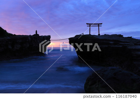 [Shizuoka Prefecture] Shirahama Shrine, Daimyojin Rock's Red Torii Gate at Dawn 116187040