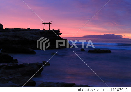 [Shizuoka Prefecture] Shirahama Shrine, Daimyojin Rock's Red Torii Gate at Dawn 116187041
