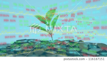 Image of financial data processing over money and plant on blue background 116187151