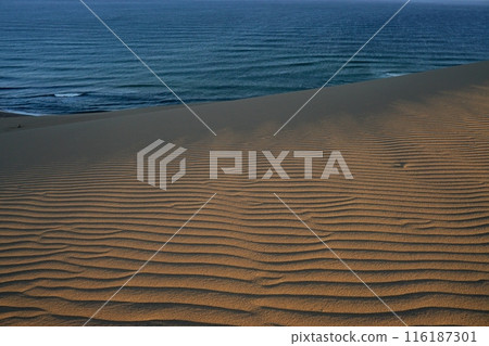 深藍色的日本海和鳥取沙丘風波紋和陰影Ver2 深藍色的日本海和鳥取沙丘風波紋和陰影Ver2 116187301