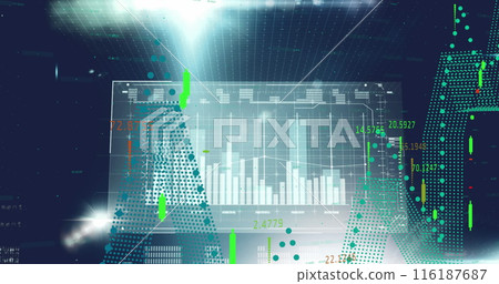 Image of financial and statistical data processing against light spot on black background 116187687