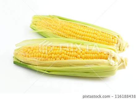 Corn (Ohisama Corn) 116188438