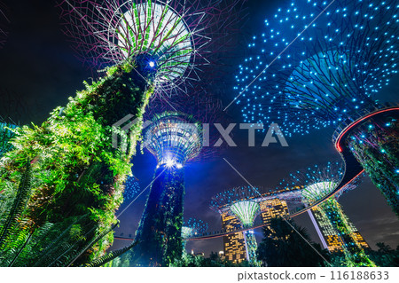 新加坡濱海灣花園的夜景 新加坡濱海灣花園的夜景 116188633
