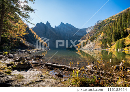 Lake Agnes in fall season. Banff National Park Landscape Photography. Canadian Rockies Autumn Scenery. Alberta, Canada. Lake Agnes in fall season. Banff National Park Landscape Photography. Canadian Rockies Autumn Scenery. Alberta, Canada. 116188634