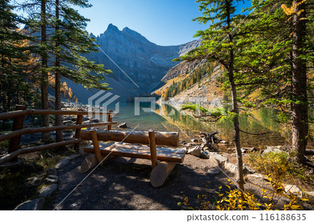 Lake Agnes in fall season. Banff National Park Landscape Photography. Canadian Rockies Autumn Scenery. Alberta, Canada. Lake Agnes in fall season. Banff National Park Landscape Photography. Canadian Rockies Autumn Scenery. Alberta, Canada. 116188635